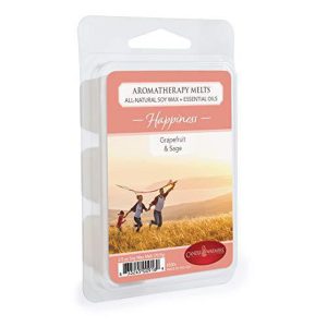 Grapefruit & Sage 2.5 oz Aromatherapy Scented Wax Melt
